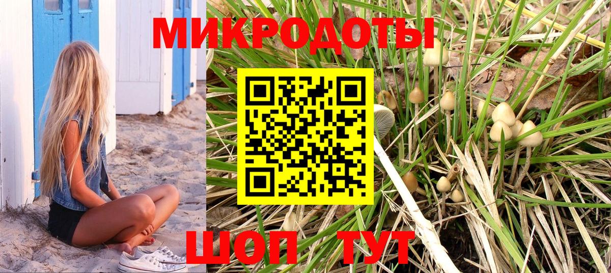 Галлюциногенные грибы Magic Shrooms  Псилоцибиновые грибы Psilocybine cubensis  Благовещенск  Вход с VPN 