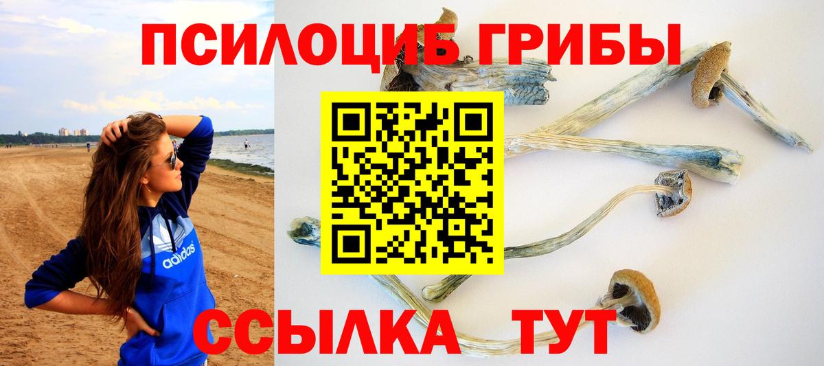 Псилоцибиновые грибы мицелий Благовещенск